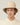 #colour_safari-tan