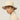 #colour_safari-tan