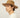 #colour_british-tan
