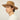 #colour_british-tan