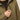#colour_khaki-green