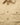 #colour_safari-tan