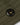 #colour_olive-green