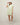 #colour_pale-mint