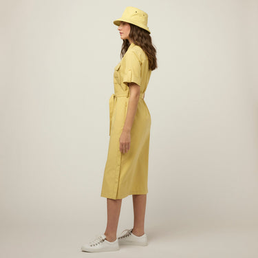 #colour_lemongrass