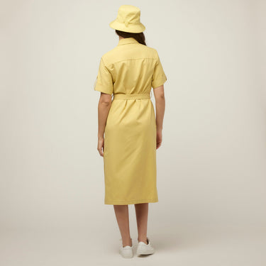 #colour_lemongrass